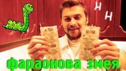 Научные Нубы - 'Фараонова змея' Научные Нубы - 'Фараонова змея'