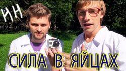 Научные Нубы - 'Сила в яйцах' Научные Нубы - 'Сила в яйцах'