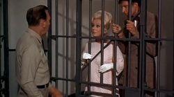 Not Guilty Not Guilty