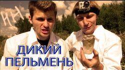 Научные Нубы - 'Дикий пельмень' Научные Нубы - 'Дикий пельмень'