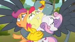 The Fault in Our Cutie Marks The Fault in Our Cutie Marks
