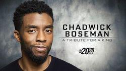 Chadwick Boseman - A Tribute for a King Chadwick Boseman - A Tribute for a King
