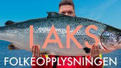 Laks Laks