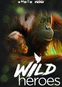 Wild Heroes Wild Heroes