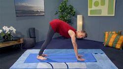 Trump Yoga Trump Yoga