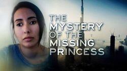The Mystery of the Missing Princess The Mystery of the Missing Princess