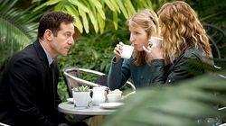 Case Histories (1) Case Histories (1)