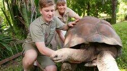 Meet the Tortoise Meet the Tortoise