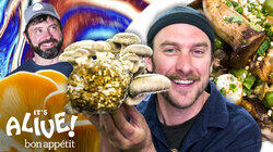 Brad Makes Smoked Mushrooms Brad Makes Smoked Mushrooms