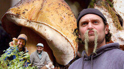 Brad Forages for Porcini Mushrooms Brad Forages for Porcini Mushrooms