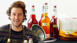 Brad Makes Kombucha Brad Makes Kombucha