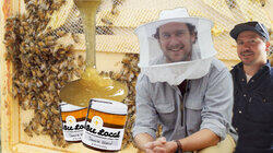 Brad Makes Honey Brad Makes Honey