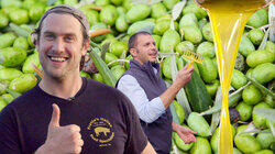 Brad Makes Olive Oil (In Italy!) Brad Makes Olive Oil (In Italy!)