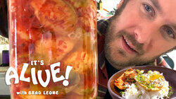 Brad Makes Brussels Sprout Kimchi Brad Makes Brussels Sprout Kimchi