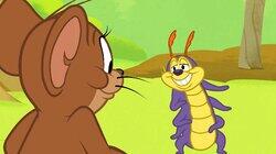 Caterpillar and Mouse Caterpillar and Mouse