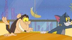 Too Much Monkey Business Too Much Monkey Business