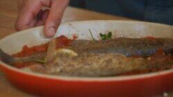 Brad Makes Smoked Whitefish In Montana Brad Makes Smoked Whitefish In Montana