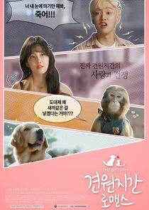 Monkey and Dog Romance Monkey and Dog Romance