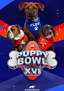 Puppy Bowl - Season 17 / Year 2020 Puppy Bowl - Season 17 / Year 2020