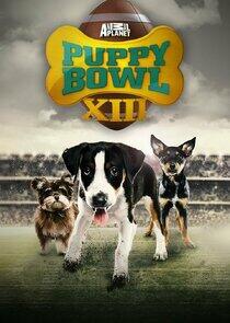 Puppy Bowl - Season 14 / Year 2017 Puppy Bowl - Season 14 / Year 2017