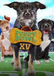 Puppy Bowl - Season 16 / Year 2019 Puppy Bowl - Season 16 / Year 2019