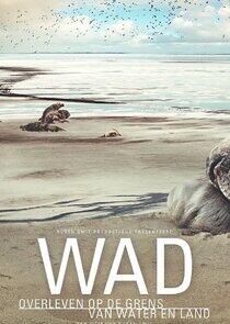 Living on the Edge: The Wadden Sea Living on the Edge: The Wadden Sea