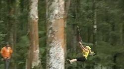 Bungee Jumping in Bali Bungee Jumping in Bali