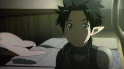 The Truth About ALfheim The Truth About ALfheim
