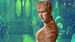 Cats Entertainment Cats Entertainment