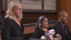 Pet Adoption Fail; Texas Natural Disaster Repair Pet Adoption Fail; Texas Natural Disaster Repair