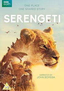 Serengeti Serengeti