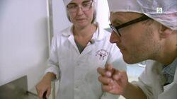 Salt og muggent brød Salt og muggent brød