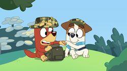 Army Army