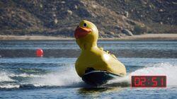 Rubber Duck Rubber Duck