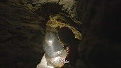 The Nubian Pharaohs The Nubian Pharaohs