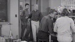 The Chicken from Outer Space The Chicken from Outer Space