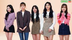 Twice Twice