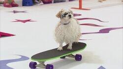 Skate Doggin' Skate Doggin'