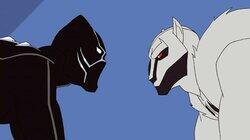 The Panther and the Wolf The Panther and the Wolf