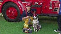 Fire Dogs Fire Dogs