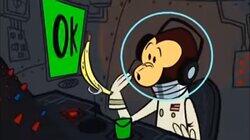 Space Monkey Space Monkey