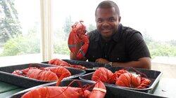 Love for Lobsters in Maine Love for Lobsters in Maine