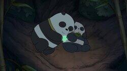Panda 2