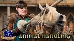 When Your Horse is a Druid (Animal Handling) When Your Horse is a Druid (Animal Handling)