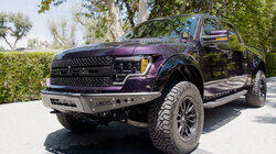 Prince's Raptor Prince's Raptor
