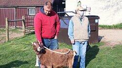 Goat Get 'Em Goat Get 'Em