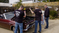 Impala in the Family Impala in the Family