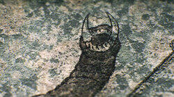 India's River Monster India's River Monster
