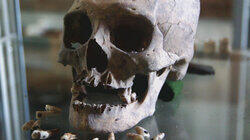 Mystery Fossil of Madagascar Mystery Fossil of Madagascar