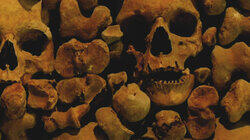 Curse of Catalina Island Curse of Catalina Island